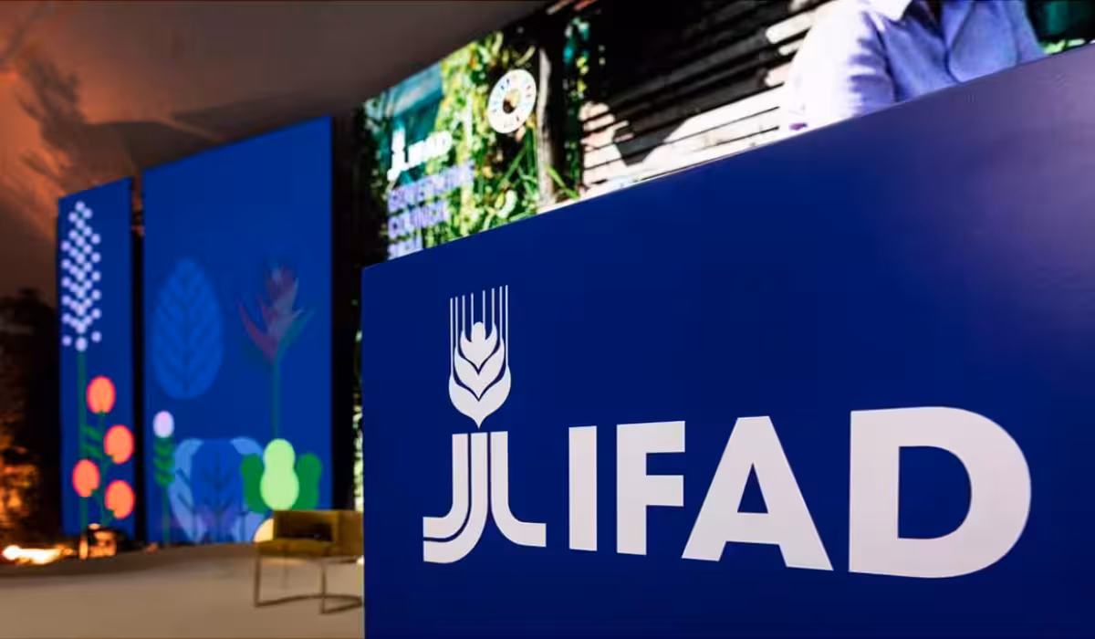 IFAD Internship 2025 – Check Eligibility, Benefits & More